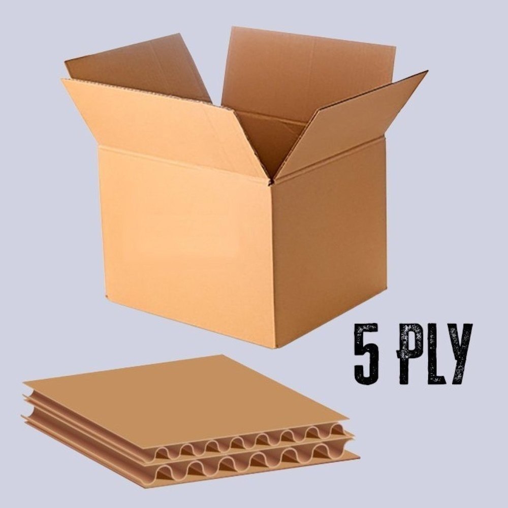5 Ply Cartons